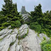 Review photo of Grandfather Mountain Campground by Mitchell G., July 9, 2021