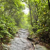 Review photo of Grandfather Mountain Campground by Mitchell G., July 9, 2021