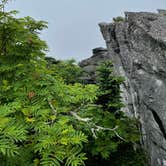 Review photo of Grandfather Mountain Campground by Mitchell G., July 9, 2021