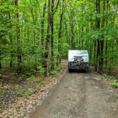 Review photo of Blueberry Patch Campground — Green Mountain & Finger Lakes National Forests by Shari  G., June 13, 2018