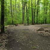 Review photo of Blueberry Patch Campground — Green Mountain & Finger Lakes National Forests by Shari  G., June 13, 2018