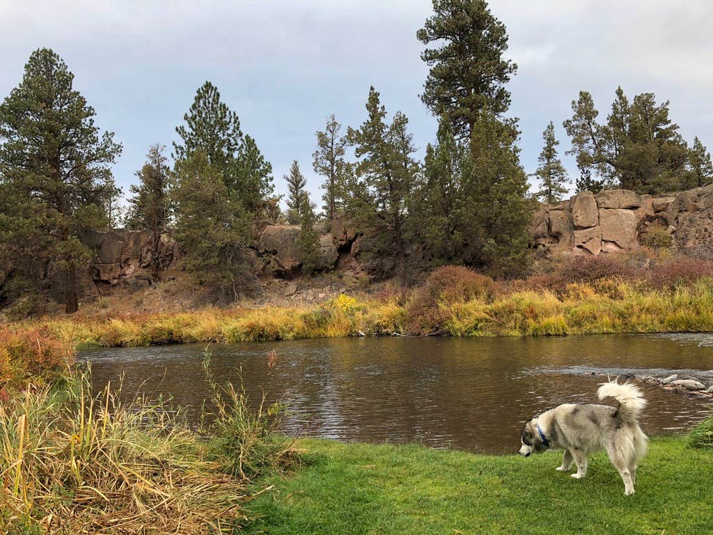 Kathy B.'s photo of camping with pets at Tumalo State Park Campground near Cloverdale, OR