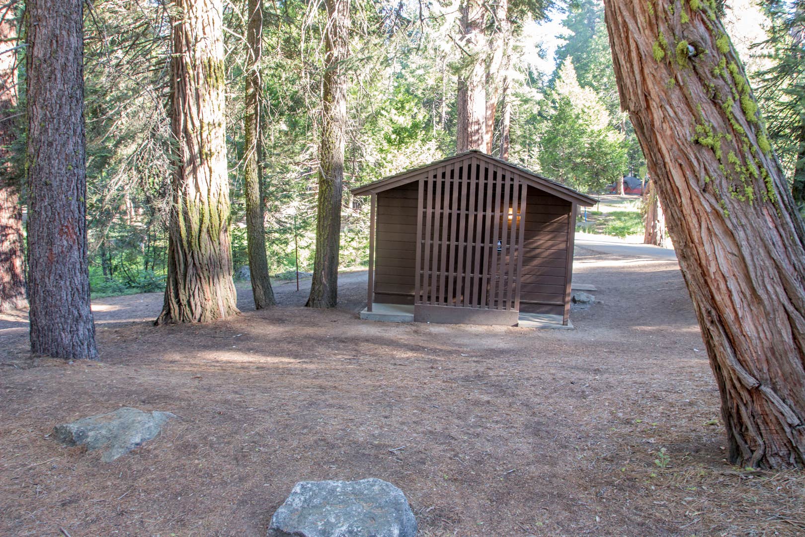 Camper-submitted photo at Sunset Campground — Kings Canyon National Park near Seven Pines, CA