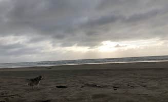 Kathy B.'s photo of camping with pets at Beachside State Recreation Site near Toledo, OR