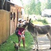 Review photo of Gunnison KOA by STEVE R., July 9, 2021