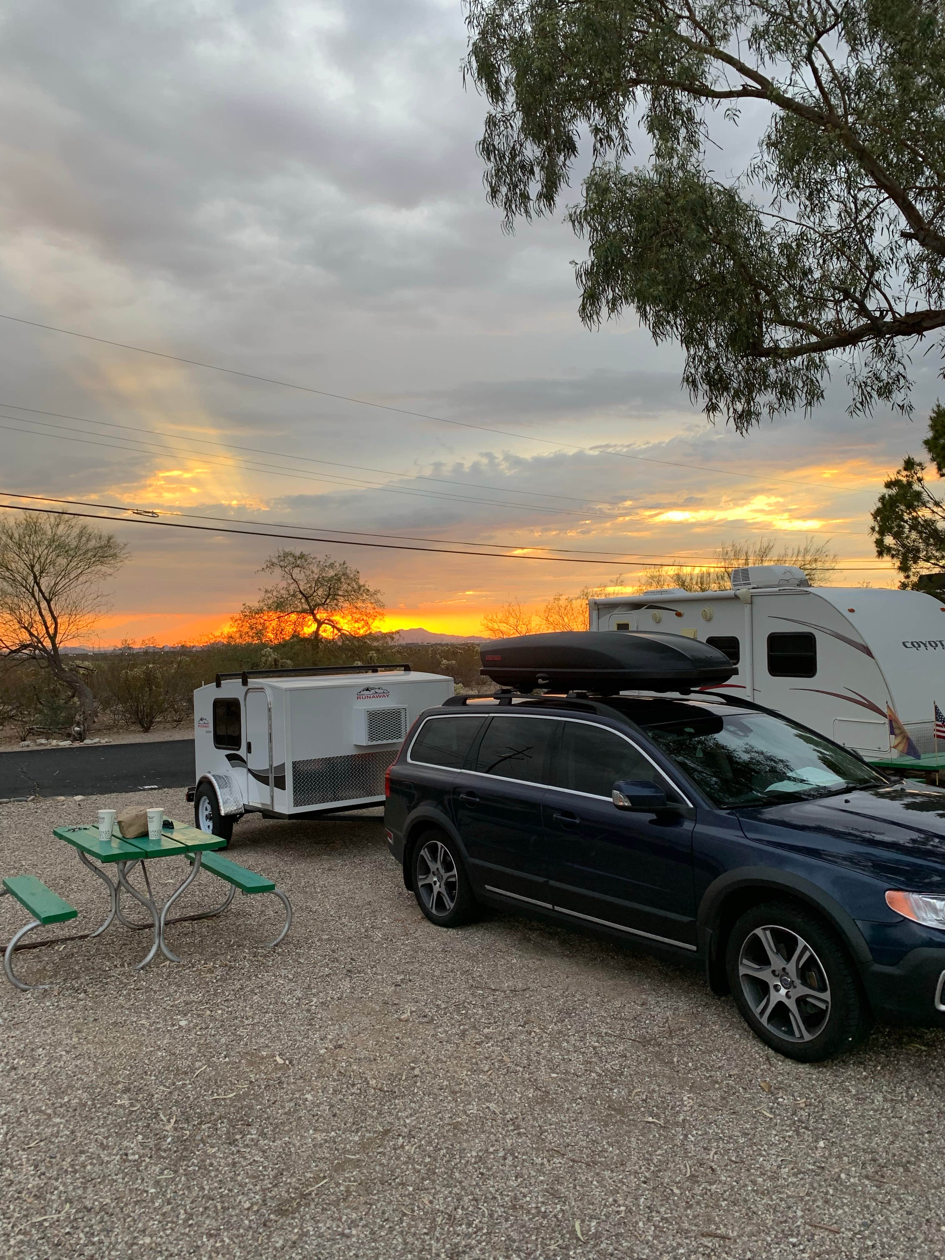 Camper-submitted photo at Cactus Country RV Park - 55+ near Saguaro National Park