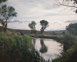 Camping near Desert Creek Campground: Quail Run Campground — Walker River State Recreation Area, Yerington, Nevada