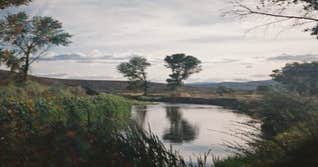 Quail Run Campground — Walker River State Recreation Area | Yerington, NV