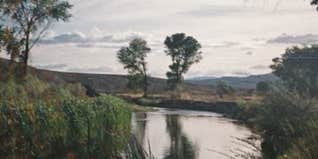 Camper submitted image from Quail Run Campground — Walker River State Recreation Area