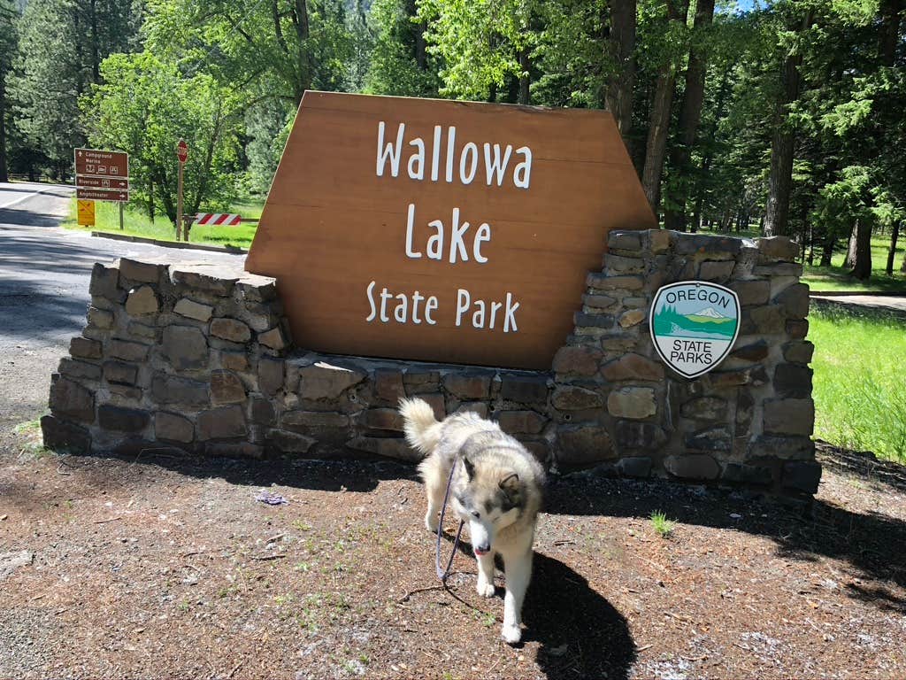 Kathy B.'s photo of camping with pets at Wallowa Lake State Park Campground near Enterprise, OR
