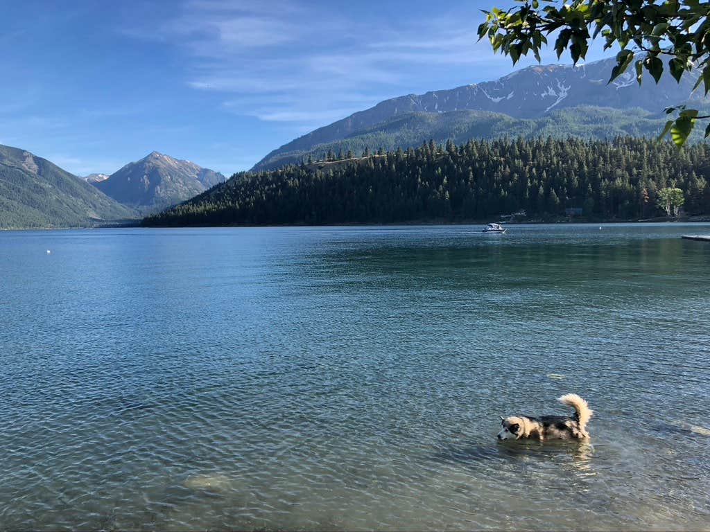 Kathy B.'s photo of camping with pets at Wallowa Lake State Park Campground near Enterprise, OR