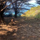 Review photo of Ragged Point Hwy 1 pull off by Christian , July 9, 2021