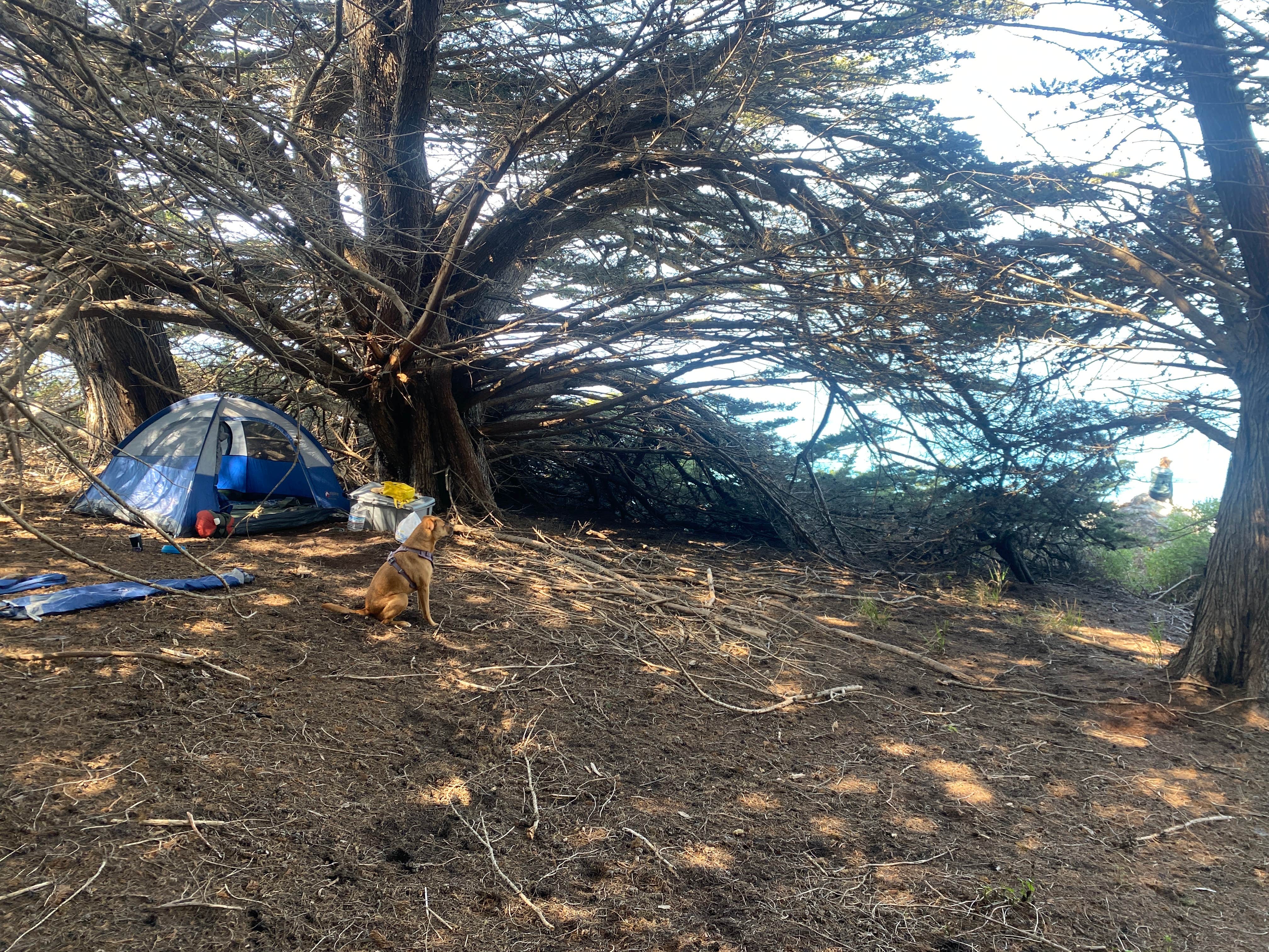 Christian's photo at Ragged Point Hwy 1 pull off near Cambria, CA