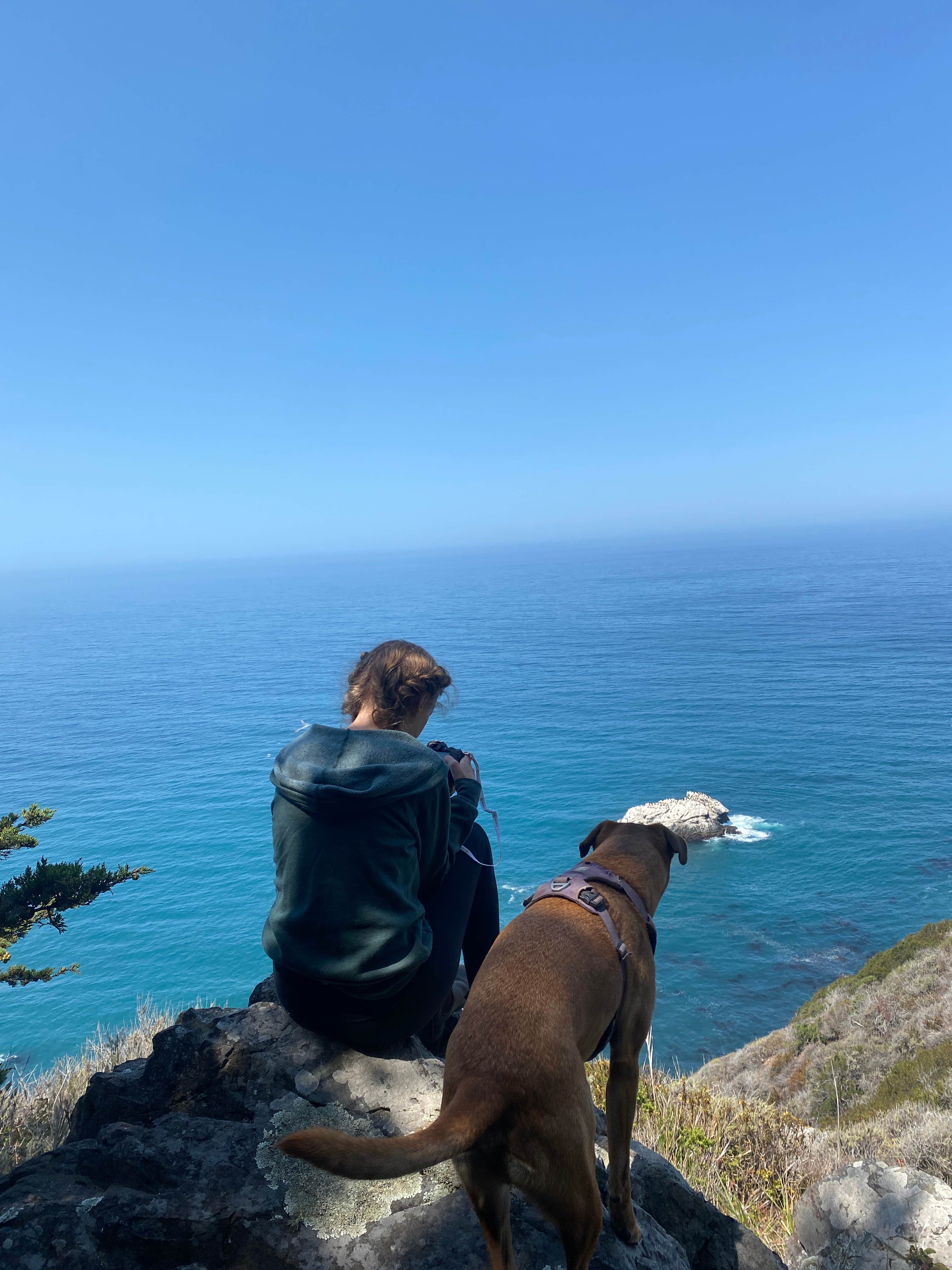 Christian's photo of camping with pets at Ragged Point Hwy 1 pull off near Cambria, CA