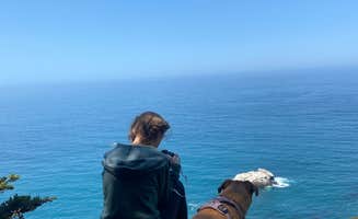 Christian's photo of camping with pets at Ragged Point Hwy 1 pull off near Lucia, CA