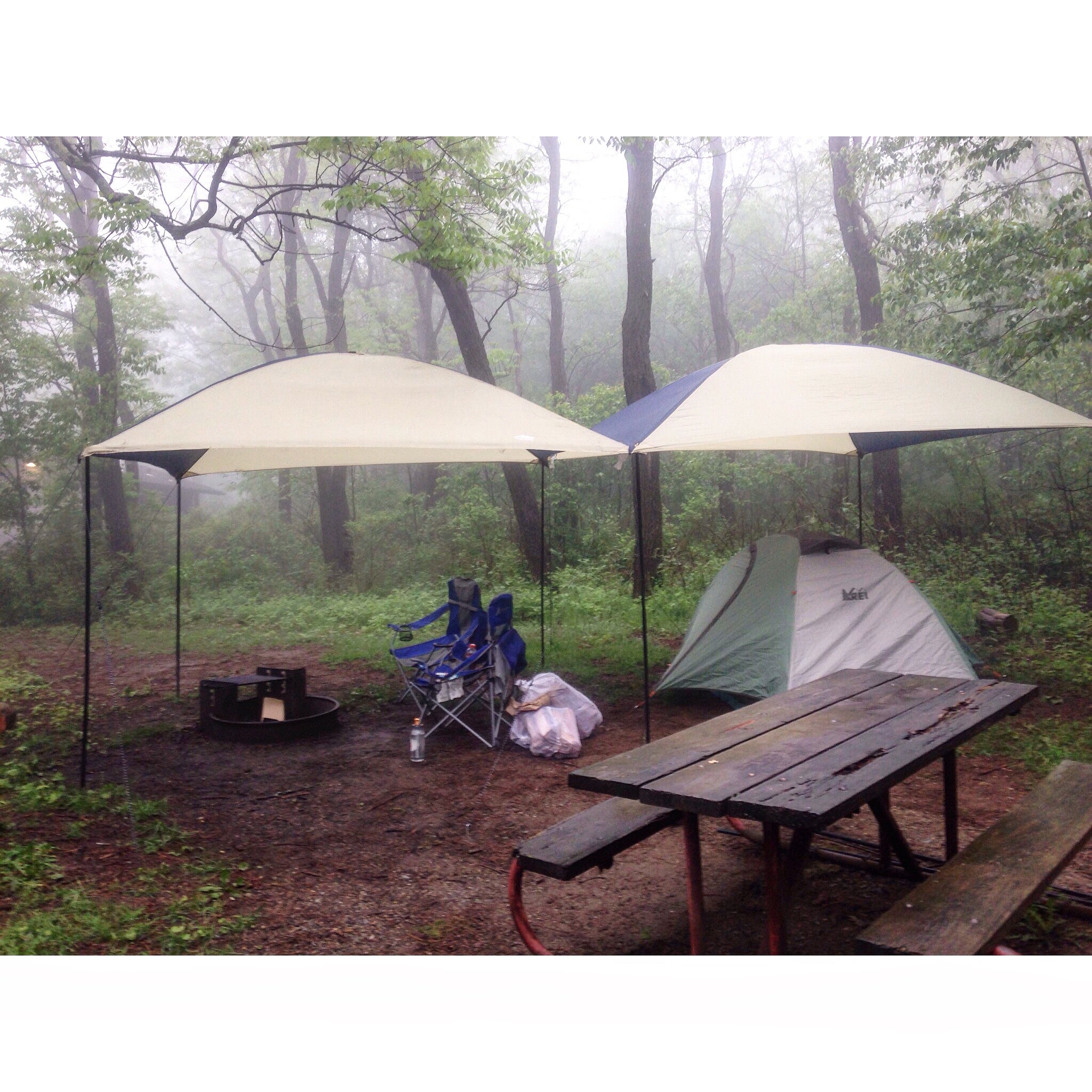 Camper submitted image from Lewis Mountain Campground — Shenandoah National Park - 5