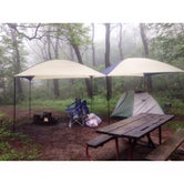 Review photo of Lewis Mountain Campground — Shenandoah National Park by Kelly C., June 13, 2018