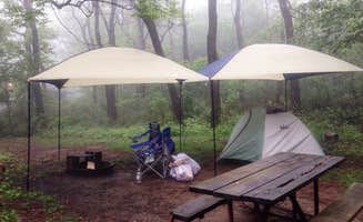 Kelly C.'s photo at Lewis Mountain Campground — Shenandoah National Park near Dyke, VA