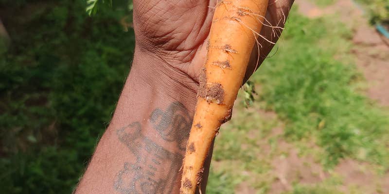 Camper submitted image from The Rembert Family Homestead OKC