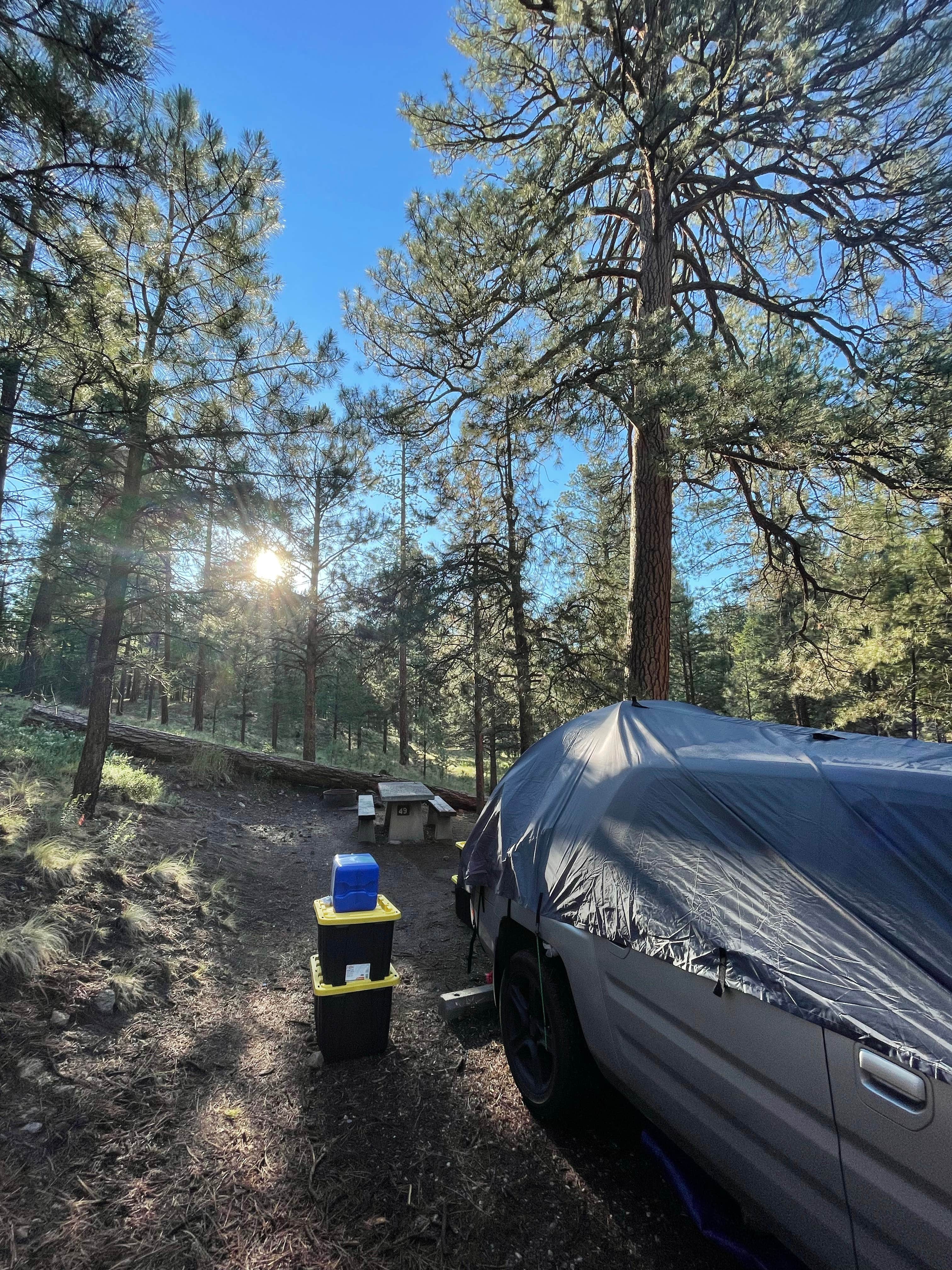 Kurtis M.'s photo at Redondo Campground near Jemez Springs, NM