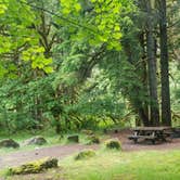 Review photo of Lund Park Forest Camp by Tj B., June 13, 2018