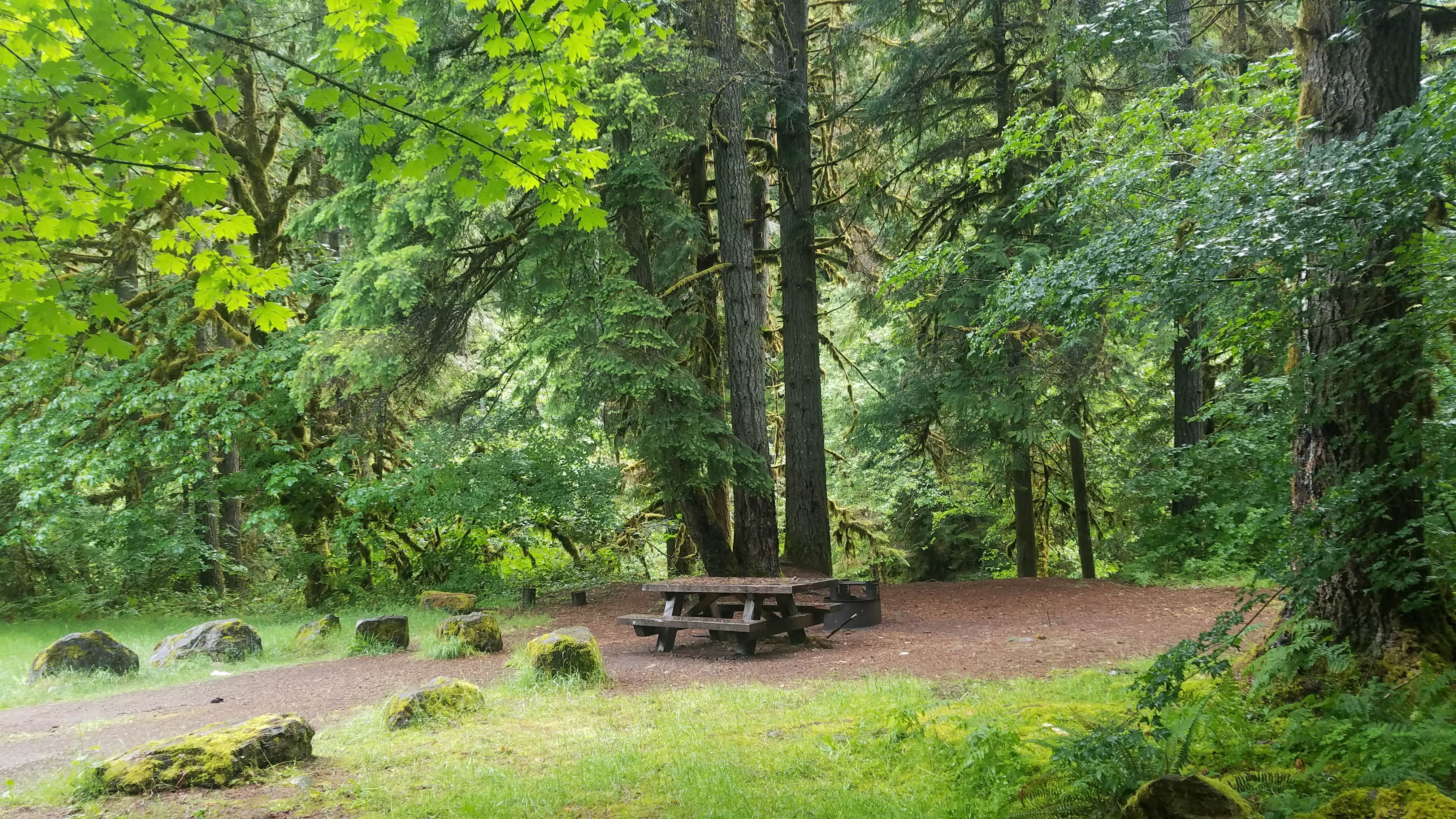Nature
