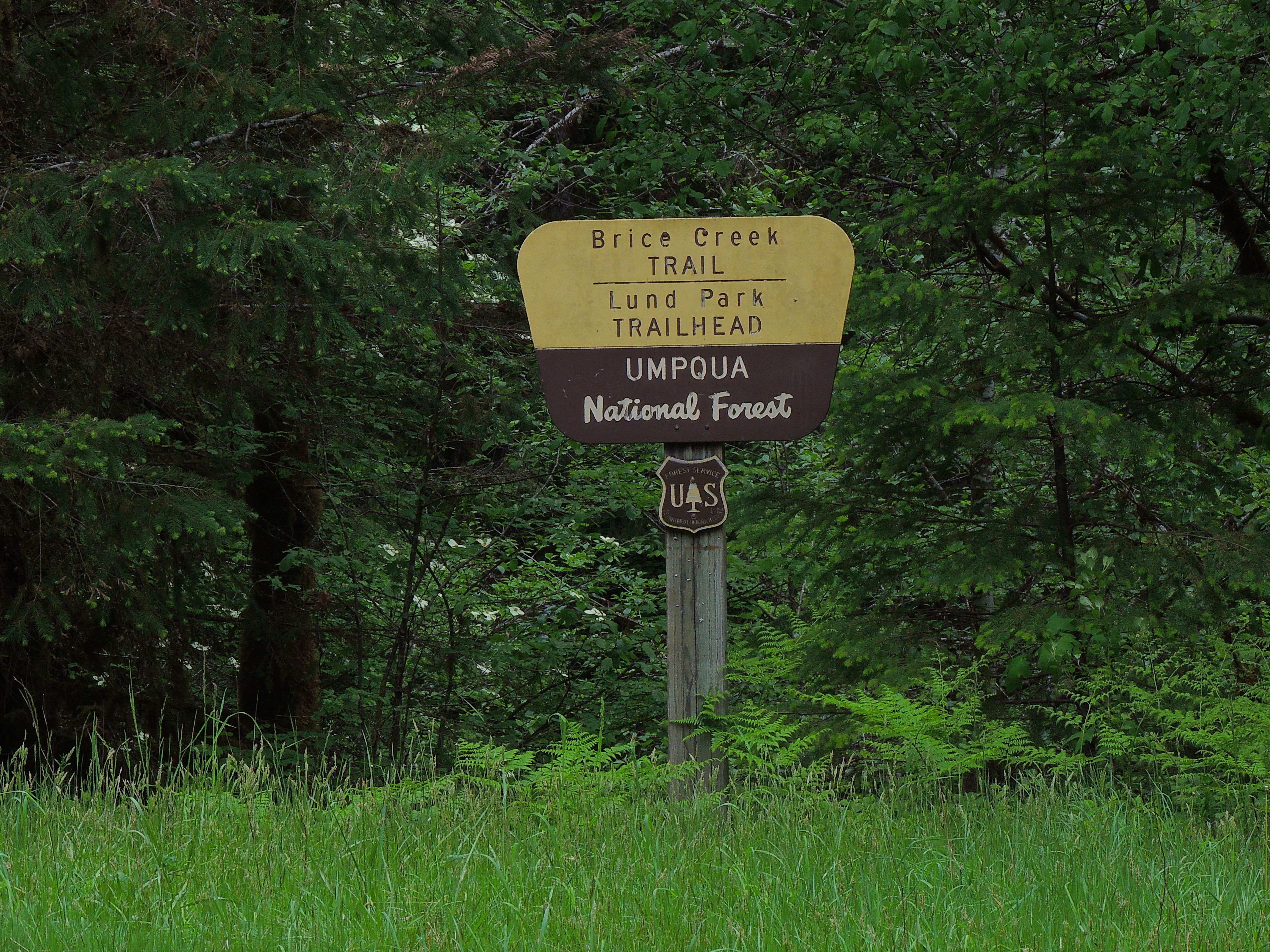 Camper submitted image from Lund Park Forest Camp - 5