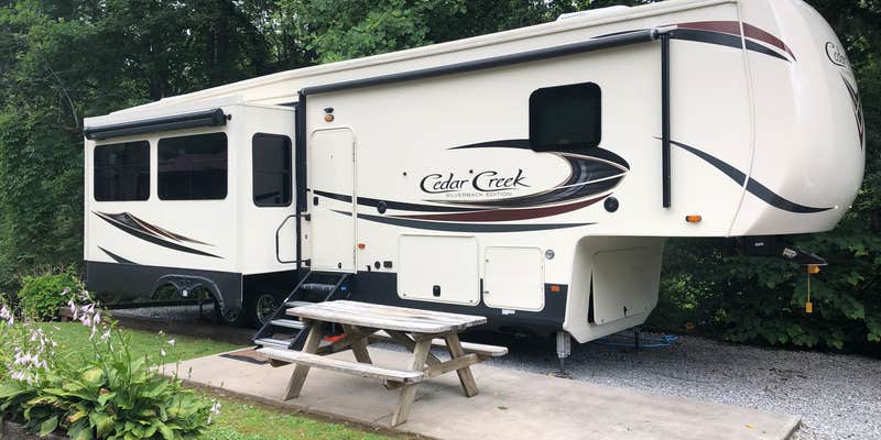 Camper submitted image from Pines RV Park