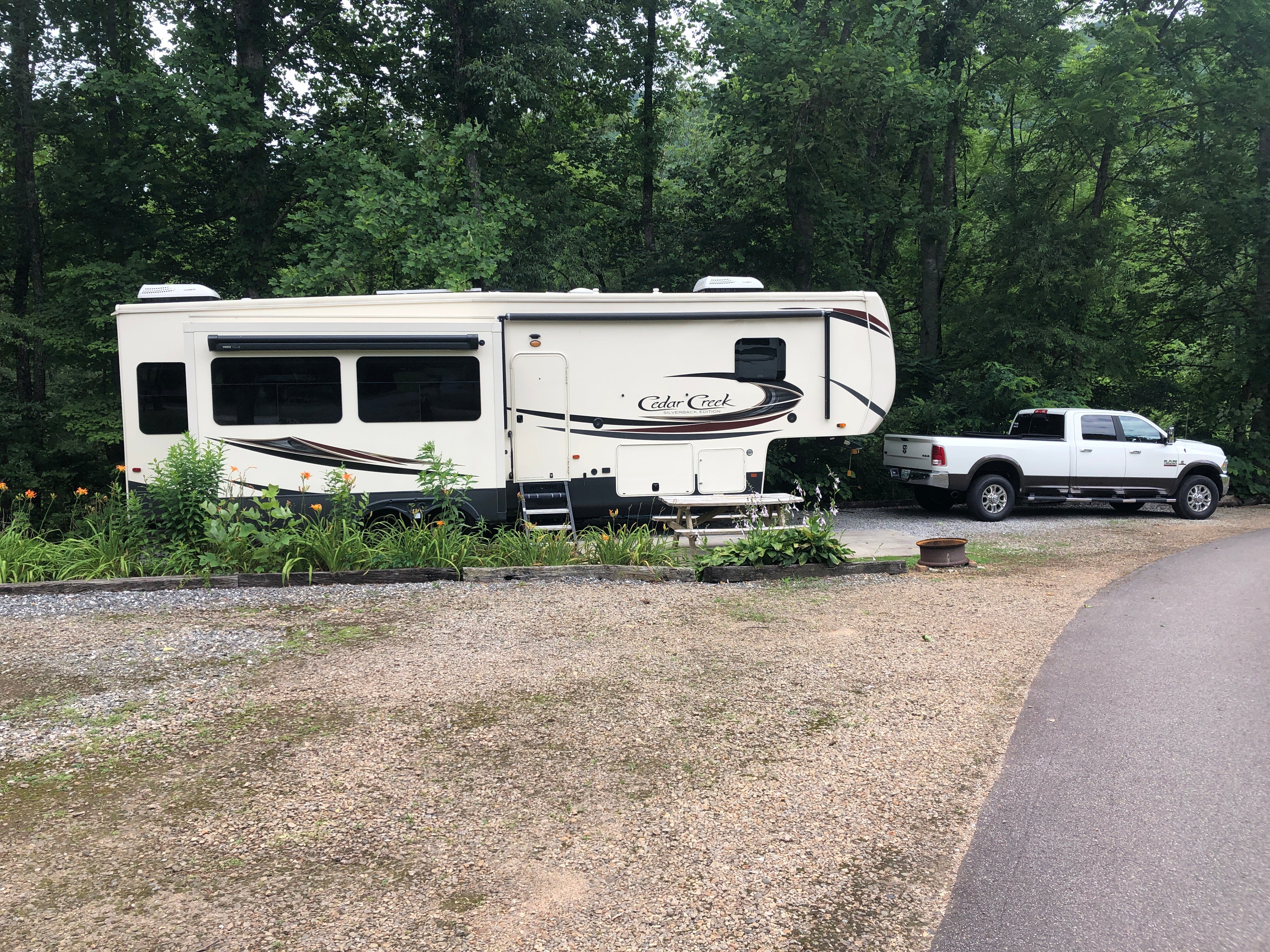 Camper submitted image from Pines RV Park - 4