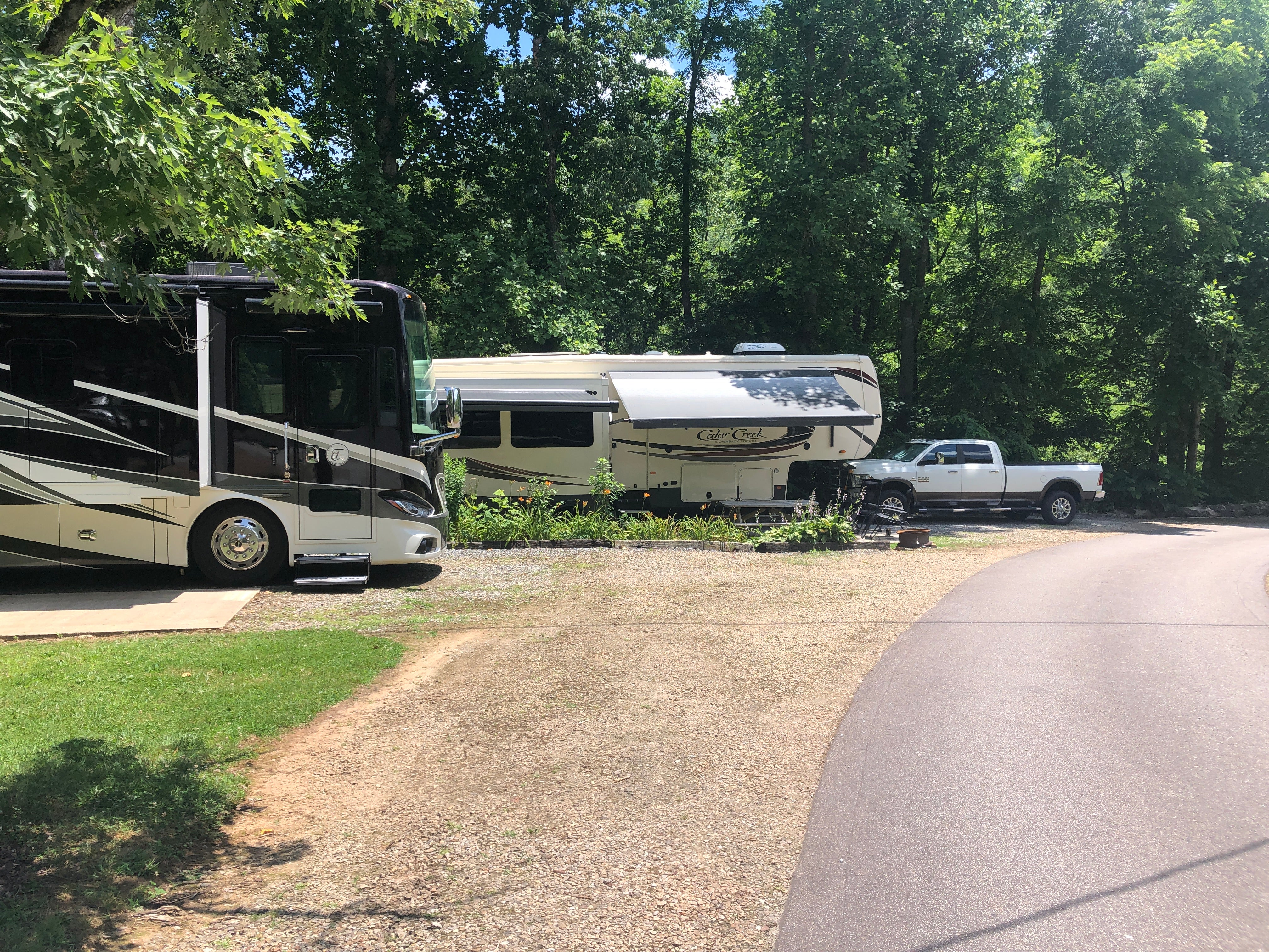 Camper submitted image from Pines RV Park - 3