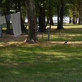 Review photo of Indian Lake State Park South Campground — Indian Lake State Park by Emily M., July 7, 2021