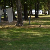 Review photo of Indian Lake State Park South Campground — Indian Lake State Park by Emily M., July 7, 2021