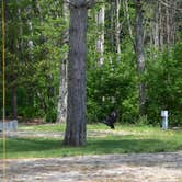 Review photo of Indian Lake State Park South Campground — Indian Lake State Park by Emily M., July 7, 2021