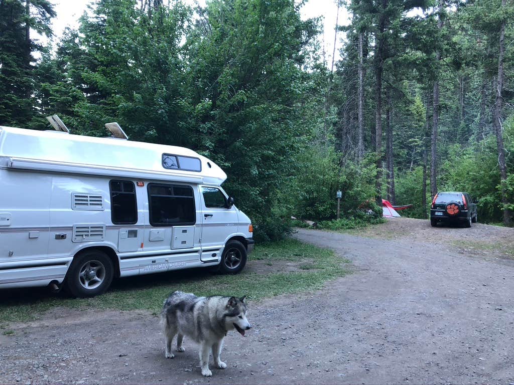 Kathy B.'s photo of camping with pets at Hurricane Creek Campground near Enterprise, OR