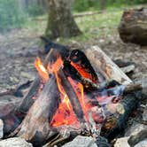 Review photo of Michaux State Forest by Joann&WellsThePup I., July 9, 2021