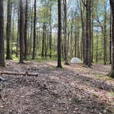 Review photo of Michaux State Forest by Joann&WellsThePup I., July 9, 2021