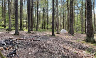 Joann&WellsThePup I.'s photo at North Michaux State Forest Campsites near Rouzerville, PA