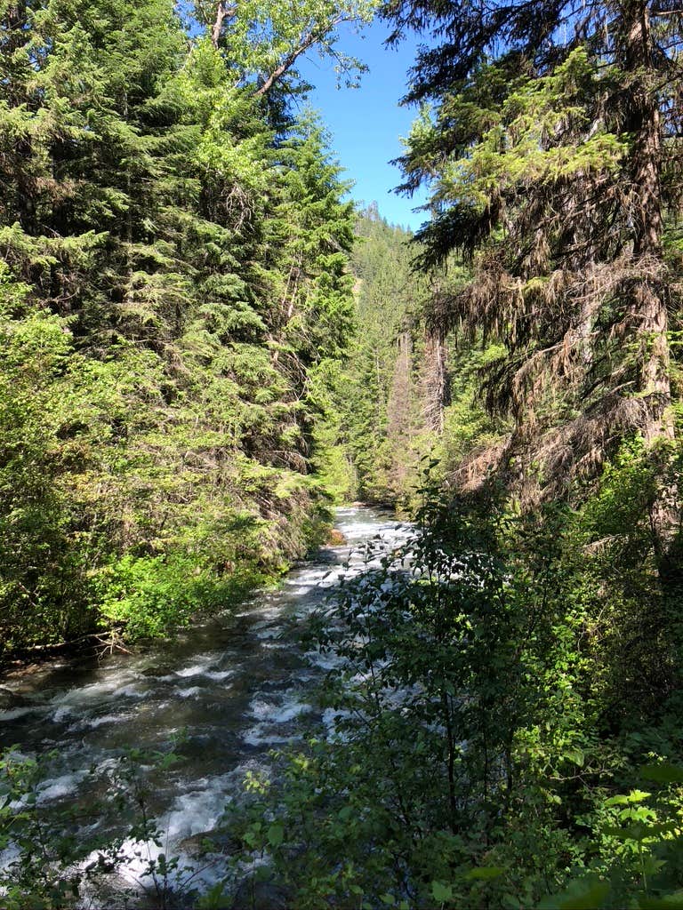 Camper-submitted photo at Boundary near Island City, OR