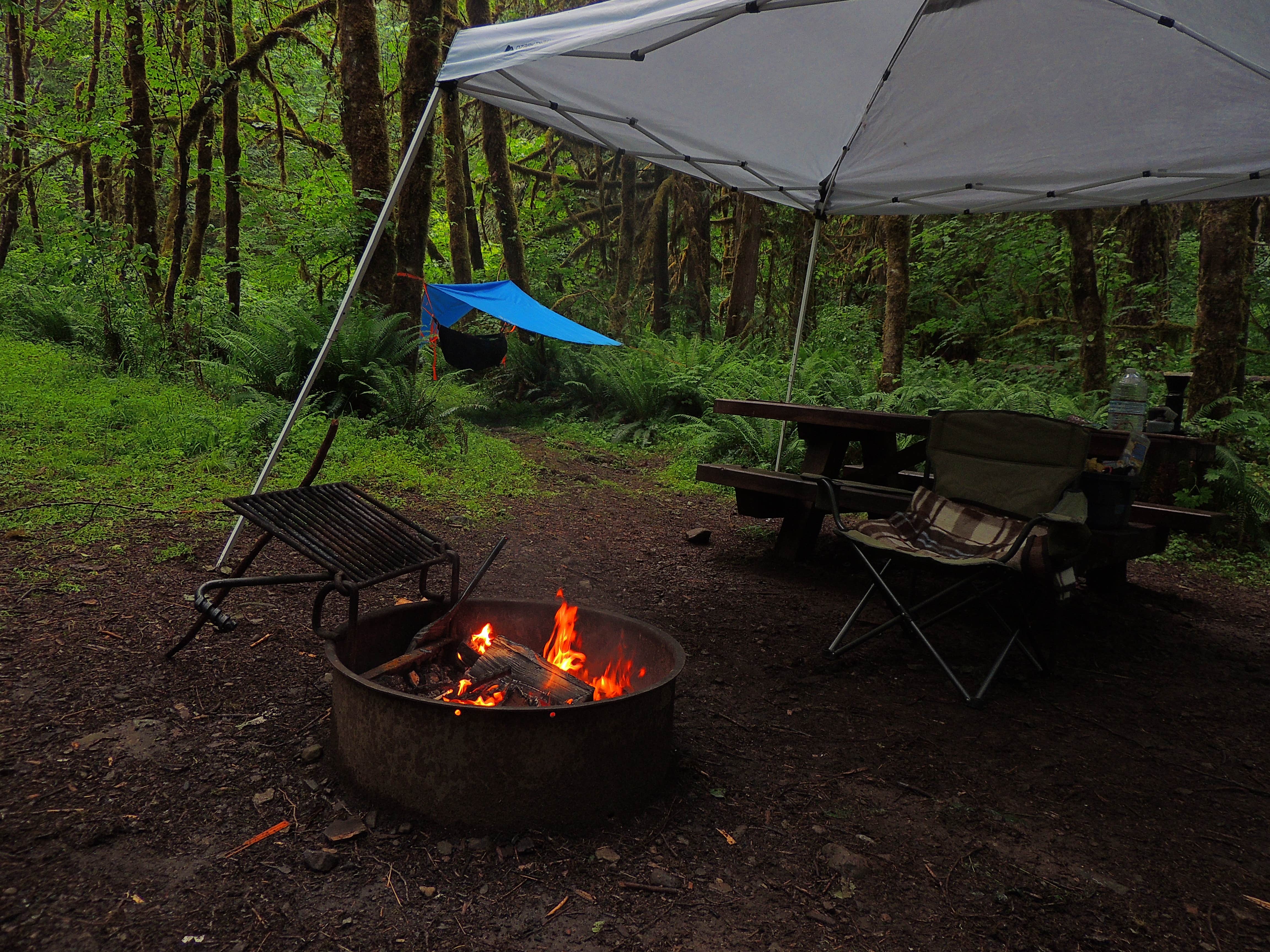 Tj B.'s photo at Lund Park Forest Camp near Dorena Lake