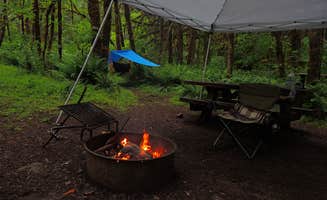 Tj B.'s photo at Lund Park Forest Camp near Lowell, OR