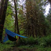 Review photo of Lund Park Forest Camp by Tj B., June 13, 2018