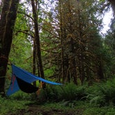 Review photo of Lund Park Forest Camp by Tj B., June 13, 2018