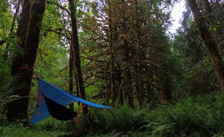 Tj B.'s photo at Lund Park Forest Camp near Dorena Lake
