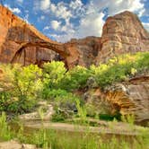 Review photo of Lake View RV Campground - Escalante Petrified Forest State Park by Jason J., July 9, 2021