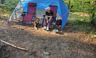 Camping near Weidman KOA: Spring Lake State Forest Campground, Lake, Michigan