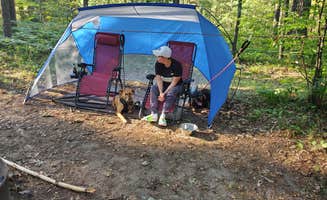 Christopher P.'s photo at Spring Lake State Forest Campground near Farwell, MI