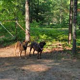 Review photo of Spring Lake State Forest Campground by Christopher P., July 9, 2021