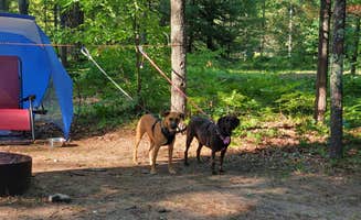 Christopher P.'s photo at Spring Lake State Forest Campground near Mount Pleasant, MI