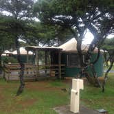 Review photo of Nehalem Bay State Park Campground by Kelly C., June 13, 2018