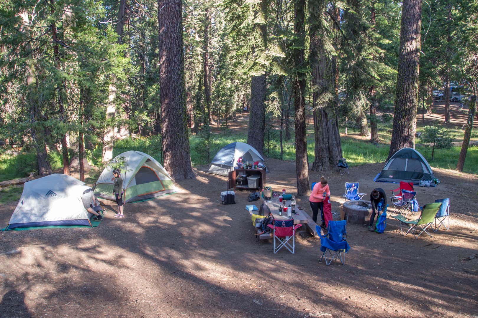 Darrin L.'s photo at Sunset Campground — Kings Canyon National Park near Hume, CA